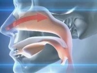 чем опасен храп чем опасен храп