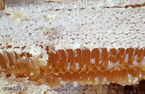 Мед в сотах лечение