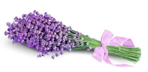 рецепты с маслом лаванды