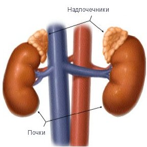 болезнь аддисона