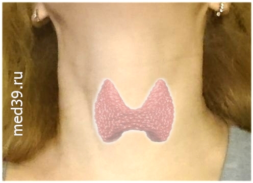 Признаки того, что с вашей щитовидкой не все в порядке