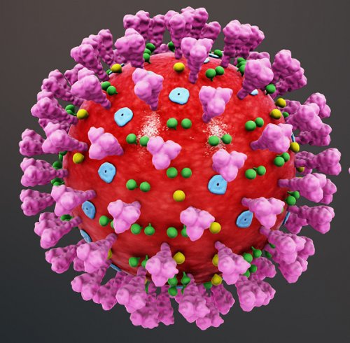 Как выглядит коронавирус