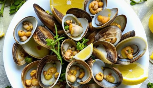 Паразиты в моллюсках