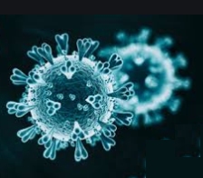 Самые смертоносные вирусы на земле