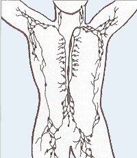 ЛИМФОСТИМУЛЯЦИЯ ПО КОСТЕРОВУ М.В.