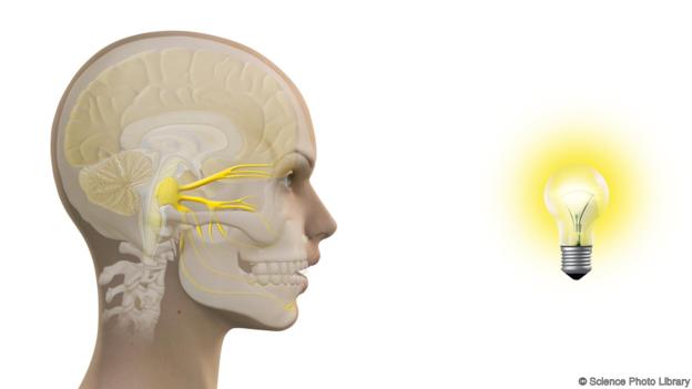 Чихание на солнце