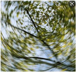 Кружится голова. Почему?