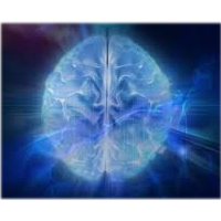 Что такое допамин и какова его роль в нашей жизни?