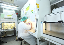 Как повышают лейкоциты после химиотерапии в Израиле