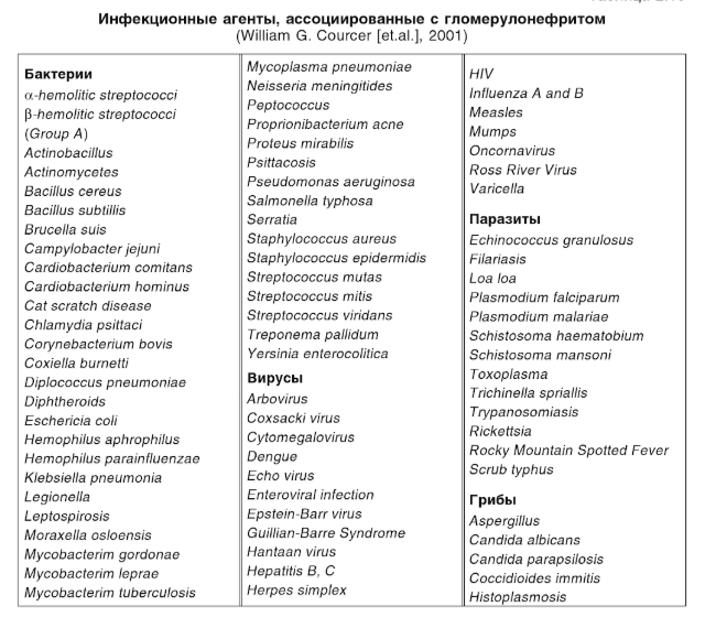 инфекции вызывающие гломерулонефрит