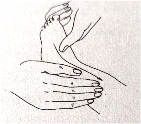 Упражнения для недонешенных детей 1-2 месяца