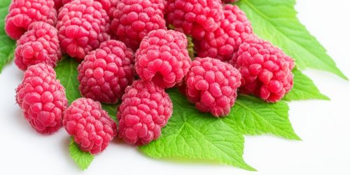 Польза листьев малины