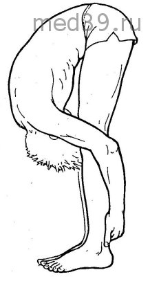 Хастападасана