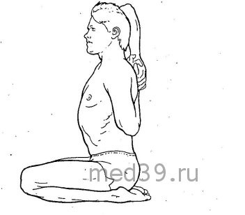 Хатха-йога. ПОЗА КОРОВЬЯ МОРДА