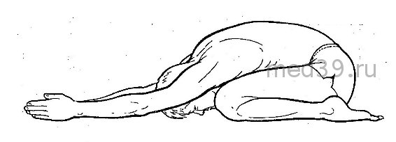 Хатха-йога. ПОЗА ПОЛУЧЕРЕПАХИ