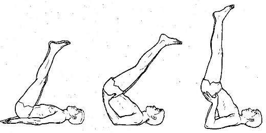 Йога. «Випарита-Карани» 