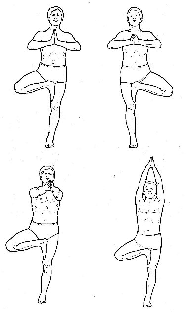 Хатха-йога. ЛЕЧЕБНАЯ ПОЗА ВРИКШАСАНА» (ПОЗА ДЕРЕВА)