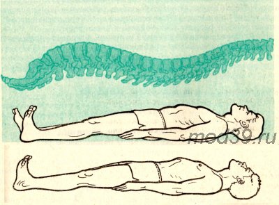 Сушумиа нари шактивардхак