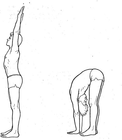 Йога. Упражнения для развития мышц живота