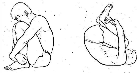 Йога.«Ролик» 