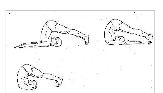 Йога. «Халь-асана» 