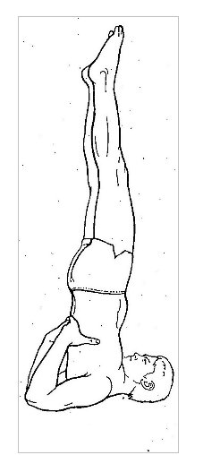 Йога. «Сарвангасана» 