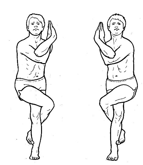 Хатха-йога.ПОЗА ПТИЦЫ ГАРУДЫ