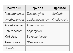 опасность накладных ногтей