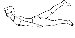 Ардха шалабхасана