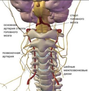 болит шея, растяжка