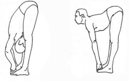 Падангустасана