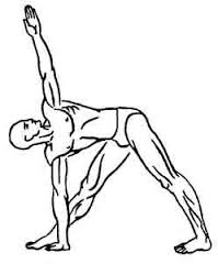 Паривритта триконасана