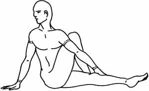 йога. варкасана