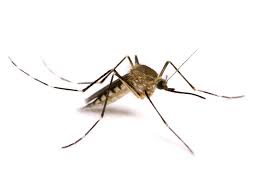 Зашита детей от комаров