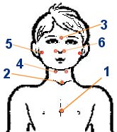 Биологически активные точки