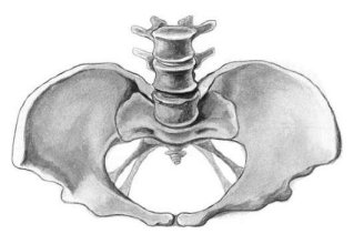 Плоскорахитический таз
