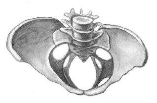 кососуженный таз