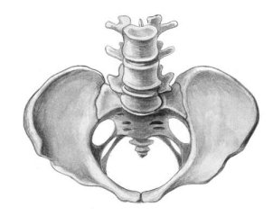 Общеравномерно суженный таз