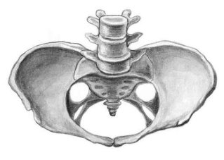 Плоский таз