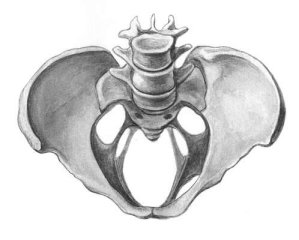 Поперечносуженный таз