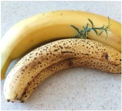 Какие бананы полезнее: спелые или зеленые