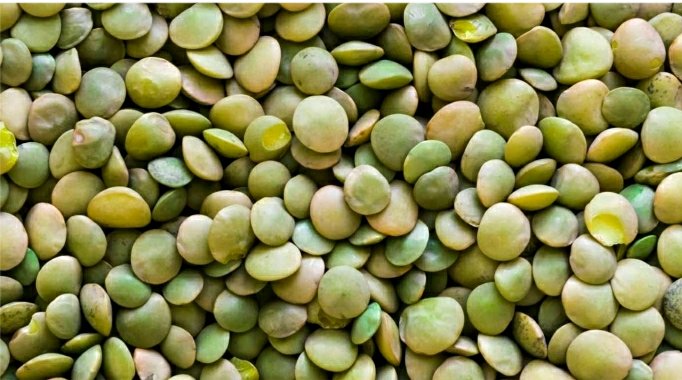 Зеленая чечевица