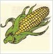 Что мы знаем о кукурузном масле