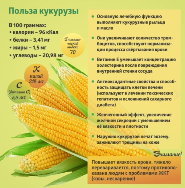 Польза кукурузы