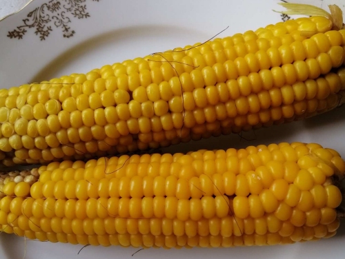 Польза кукурузы