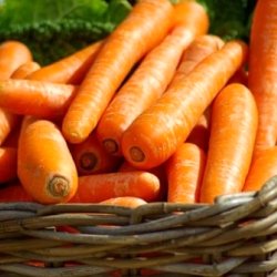Морковный сок — целитель