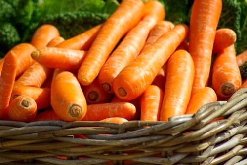 Морковь - польза