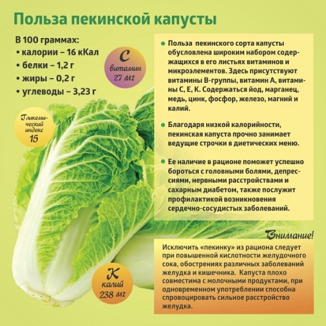 Польза пекинской капусты