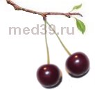 Польза вишни