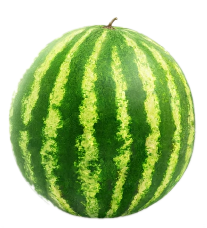 Лечение арбузом